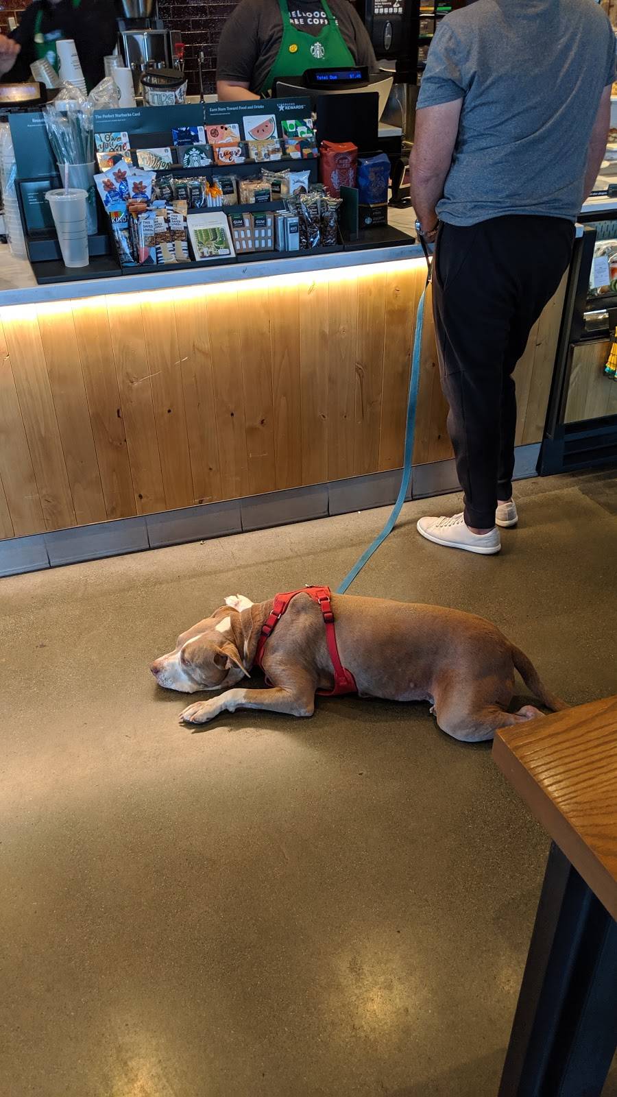 Starbucks | cafe | 55 River Oaks Pl #40, San Jose, CA 95134, USA | 4087128597 OR +1 408-712-8597