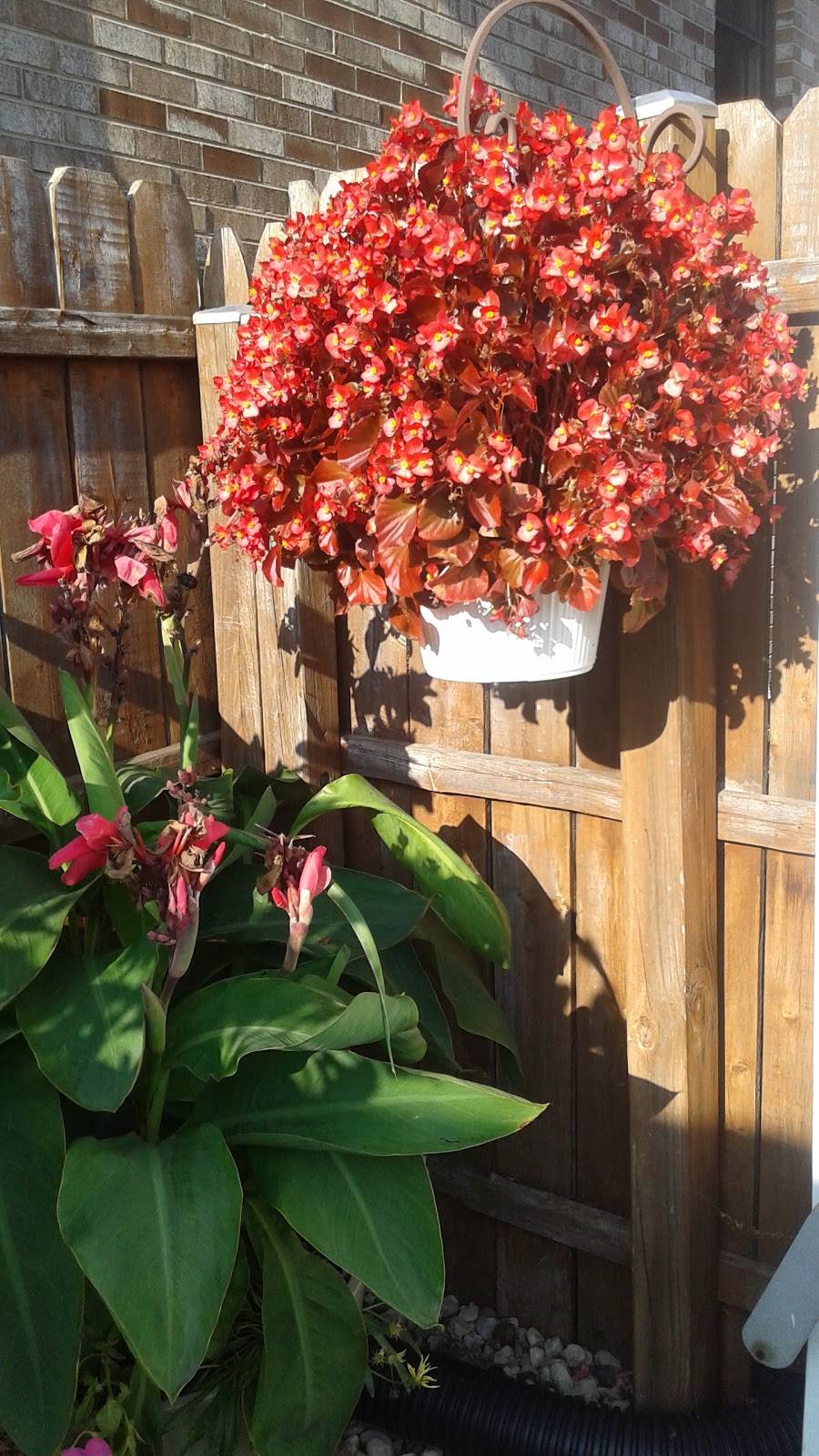 Congas Restaurant & Lounge | restaurant | 7021 W Higgins Ave, Chicago, IL 60656, USA | 7737756615 OR +1 773-775-6615