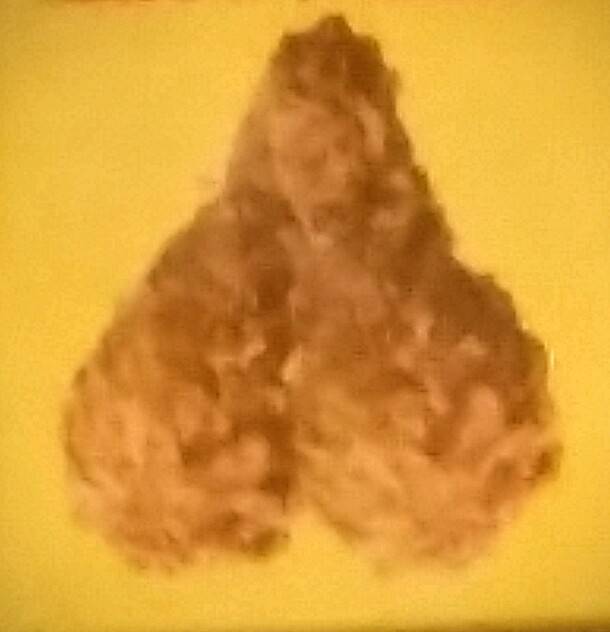 Churchs Chicken | restaurant | 1601 E Whitestone Blvd, Cedar Park, TX 78613, USA | 5122591841 OR +1 512-259-1841