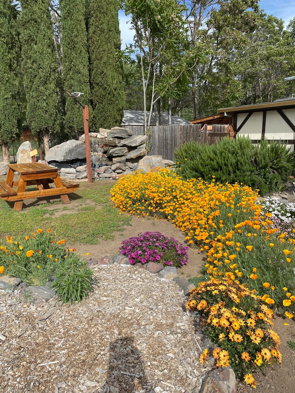 Sol i Mar | restaurant | 6030 State Hwy 20, Lucerne, CA 95458, USA | 7076001059 OR +1 707-600-1059