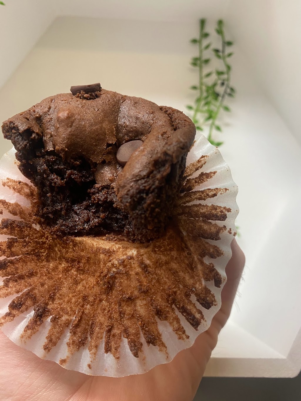 The Healthy Hangout | restaurant | 1907 NW 79th Ave, Doral, FL 33126, USA | 3059510820 OR +1 305-951-0820