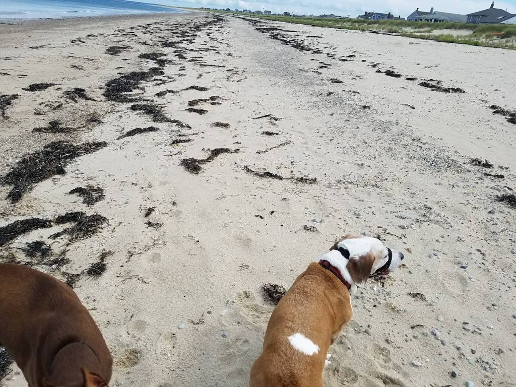 Little House | restaurant | Sands Cv, Cataumet, MA 02534, USA | 5085631946 OR +1 508-563-1946