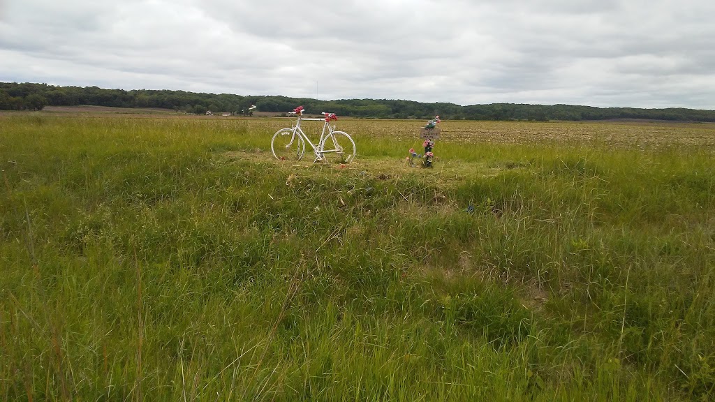 Kinnick On the River | restaurant | 1 Main St, Montrose, IA 52639, USA | 3194637293 OR +1 319-463-7293