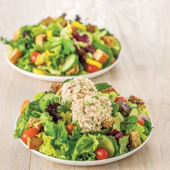 DiBellas Subs | restaurant | 3117 S Rochester Rd, Rochester Hills, MI 48307, USA | 2482992550 OR +1 248-299-2550