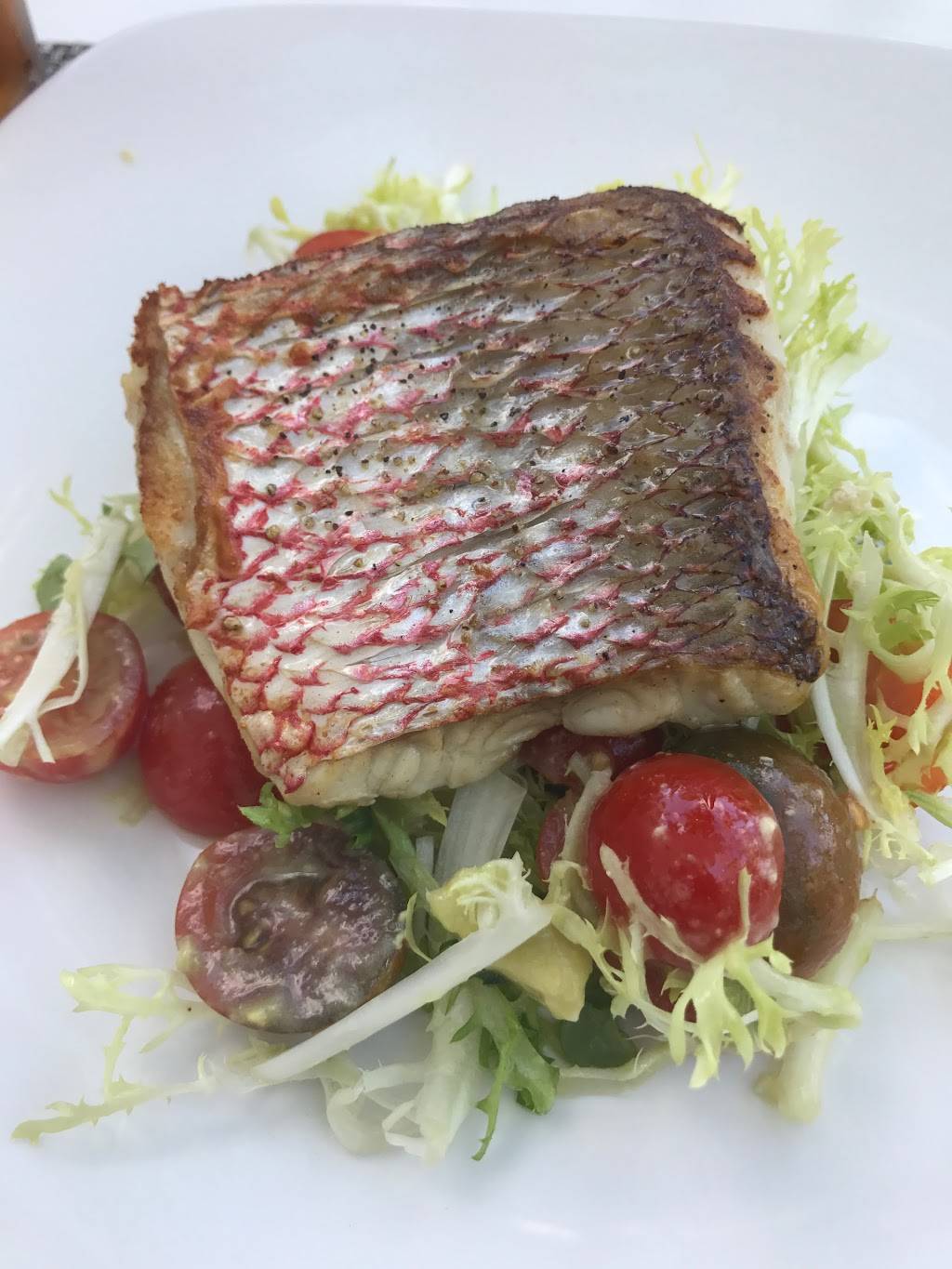 Vida | restaurant | 4441 Collins Avenue, [Off Lobby], Miami Beach, FL 33140, USA | 3056744730 OR +1 305-674-4730