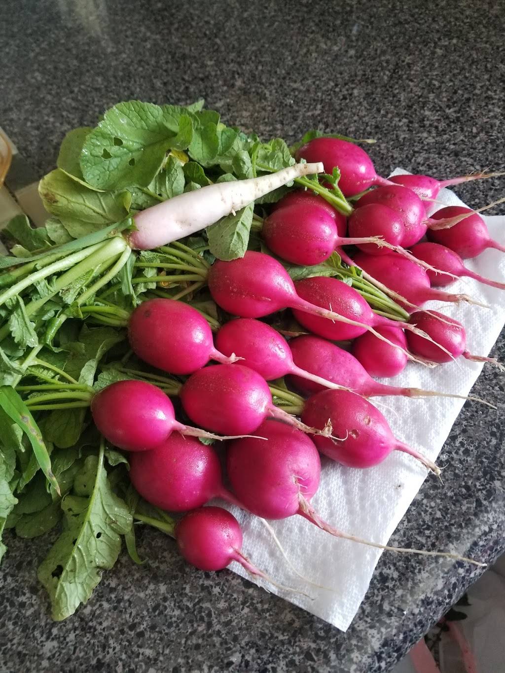 Tacos Mi Casita | restaurant | 4633 Clairmont Dr, Columbus, IN 47203, USA | 8123747679 OR +1 812-374-7679