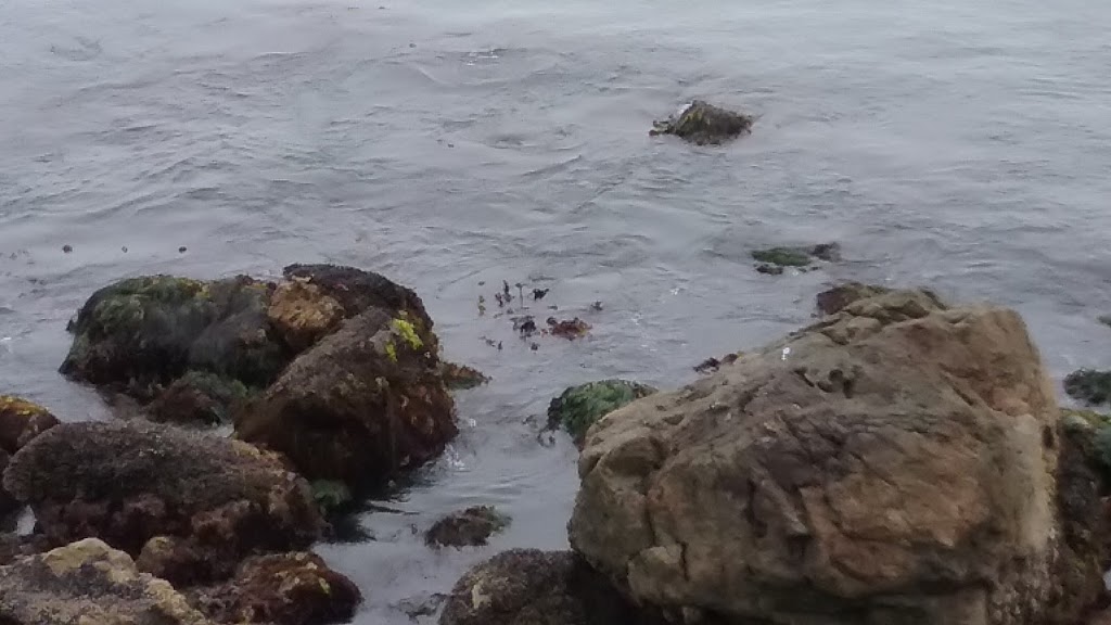 Harbor View Grotto Restaurant | restaurant | 150 Starfish Way, Crescent City, CA 95531, USA | 7074643815 OR +1 707-464-3815