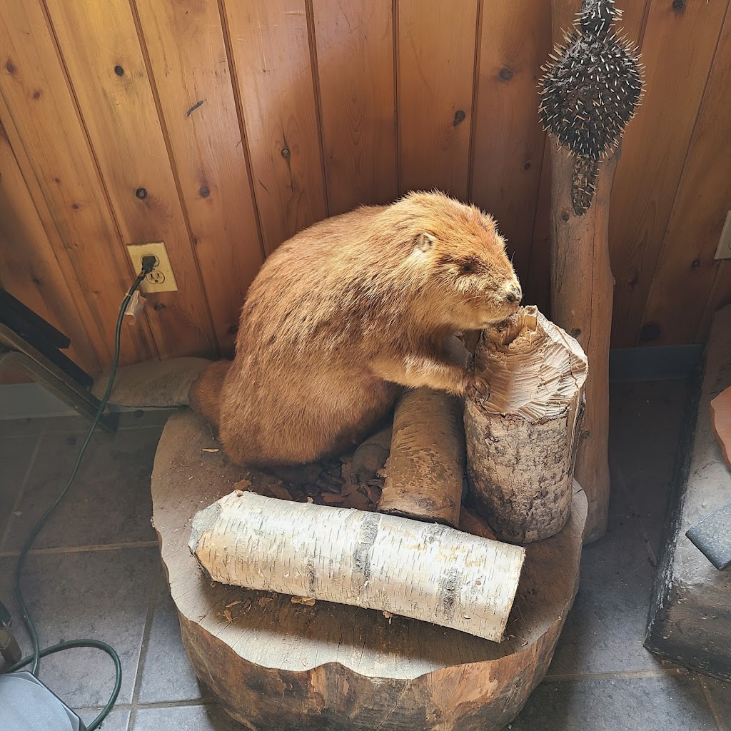 Bear Trap Inn | restaurant | N7294 Co Rd H-15, Shingleton, MI 49884, USA | 9064526364 OR +1 906-452-6364