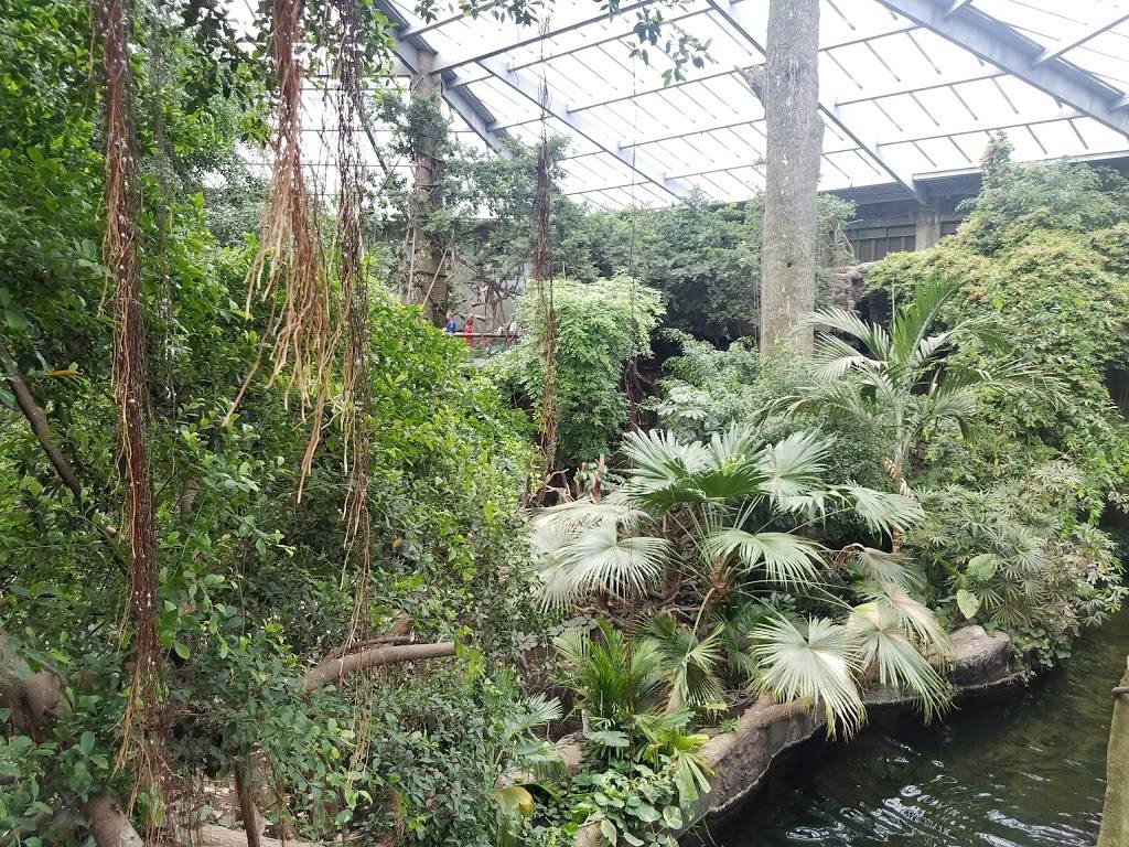 Omaha Steaks® Grill & Patio | restaurant | 3701 S 10th St, Omaha, NE 68107, USA | 4027338400 OR +1 402-733-8400