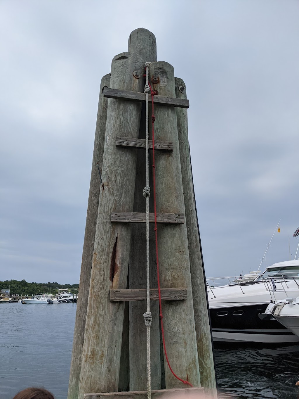 Paynes Dock | restaurant | 133 Ocean Ave, New Shoreham, RI 02807, USA | 4014665572 OR +1 401-466-5572