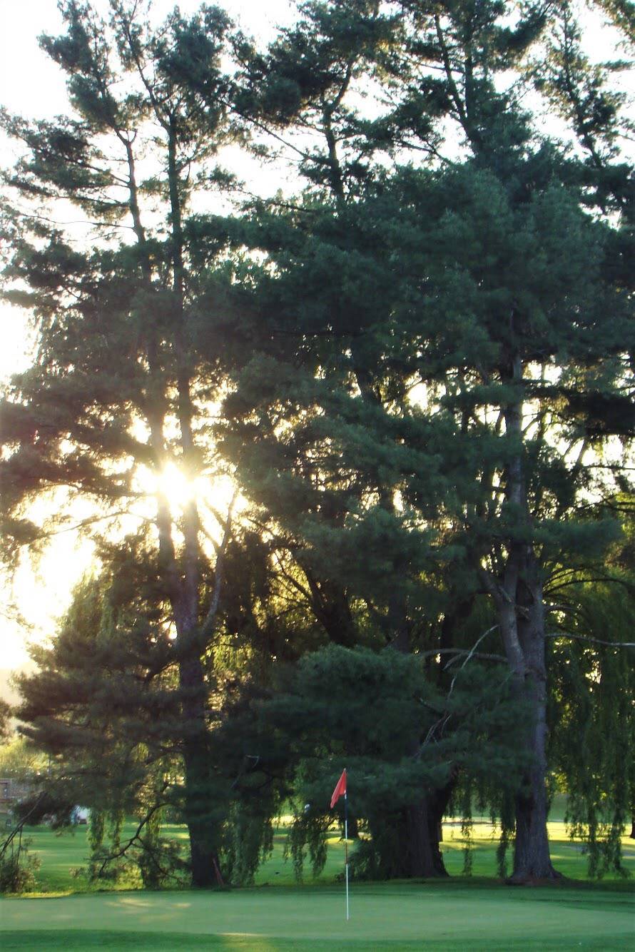 Thorn Spring Golf Course and Event Center | restaurant | 4360 Country Club Dr, Pulaski, VA 24301, USA | 5409805851 OR +1 540-980-5851