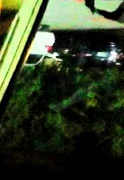 Pizza Pronto | restaurant | 4400 2nd Ave #6, Columbus, GA 31904, USA | 7065969855 OR +1 706-596-9855