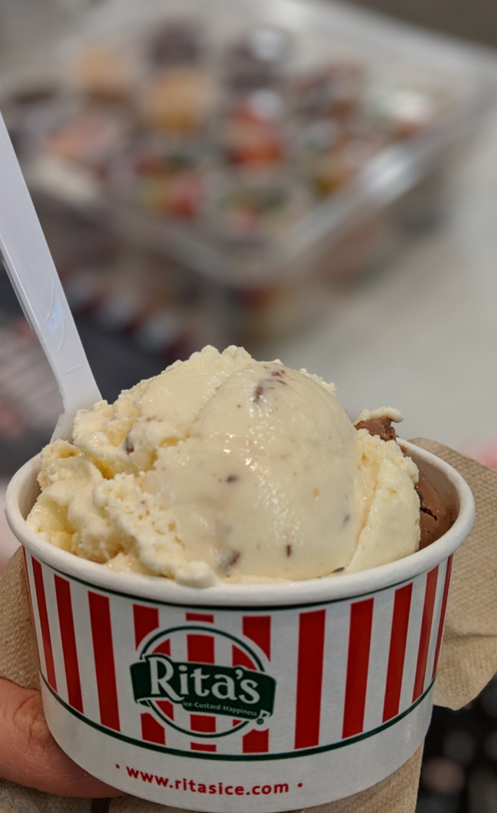 Ritas Italian Ice & Frozen Custard | restaurant | 1102 E Champlain Dr, Fresno, CA 93720, USA | 5593532175 OR +1 559-353-2175