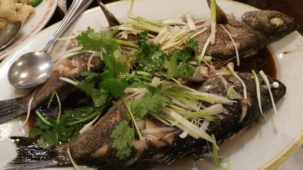 Silver House | restaurant | 2224 S El Camino Real, San Mateo, CA 94403, USA | 6505711298 OR +1 650-571-1298