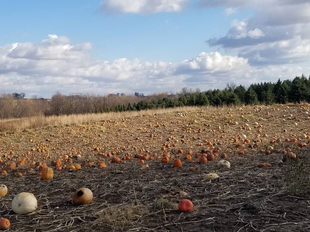 Happ-E-Hill Pumpkin Farm | restaurant | N4380 WI-35, Prescott, WI 54021, USA | 7157922676 OR +1 715-792-2676