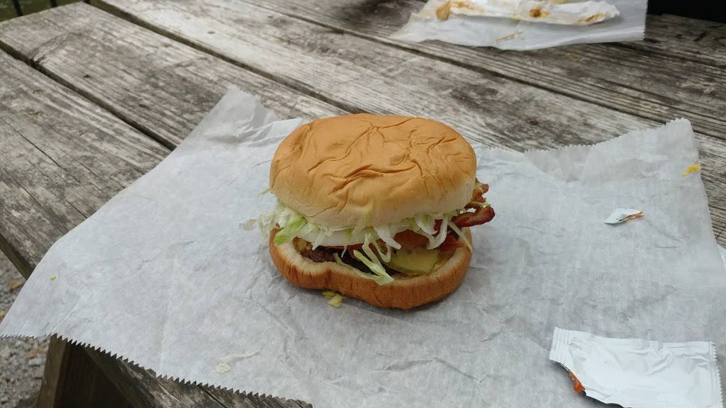 Tellico Beach Drive In | restaurant | 1801 Cherohala Skyway, Tellico Plains, TN 37385, USA | 4232532606 OR +1 423-253-2606