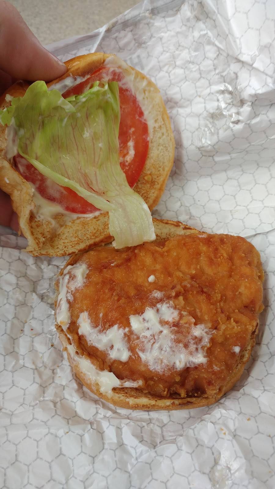 Wendys | restaurant | 4220 Elms Rd, Swartz Creek, MI 48473, USA | 8106301245 OR +1 810-630-1245