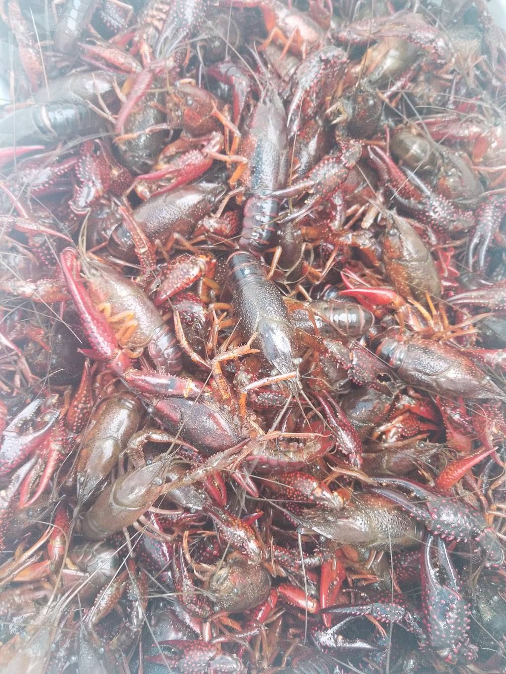 Crawfish Xpress | restaurant | 57965 Laville St, Plaquemine, LA 70764, USA | 2256870226 OR +1 225-687-0226