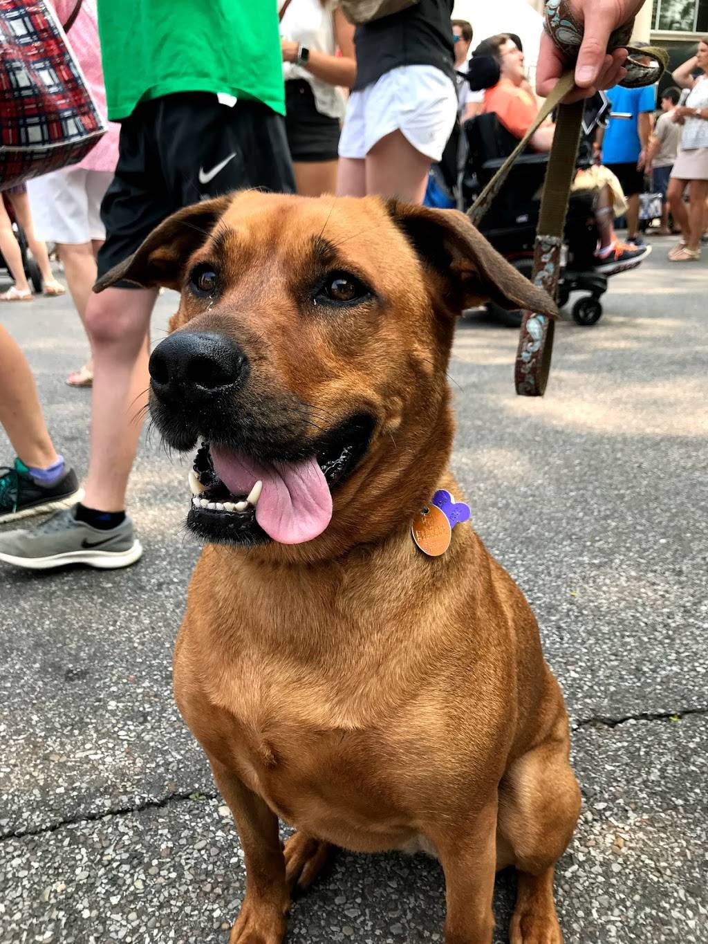 Hyde Park Farmers Market | restaurant | 2700 Erie Ave, Cincinnati, OH 45208, USA | 5136042492 OR +1 513-604-2492