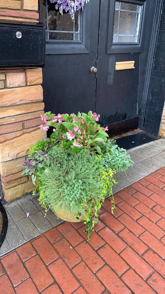 Brooklyn Bagels | restaurant | 43 Phillips St, Franklin, NC 28734, USA | 8283496334 OR +1 828-349-6334