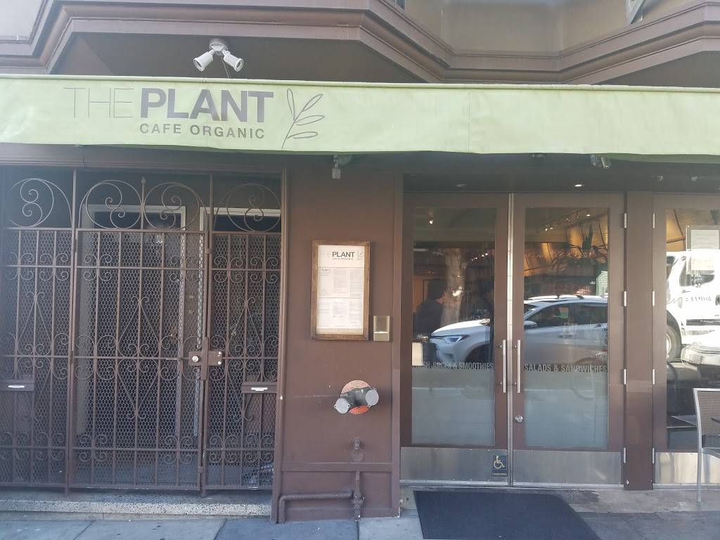 The Plant Cafe Organic | cafe | 3352 Steiner St, San Francisco, CA 94123, USA | 4159312777 OR +1 415-931-2777