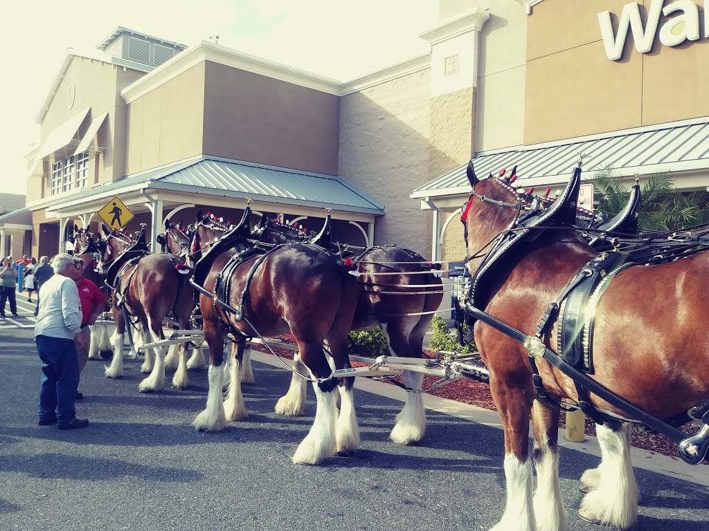 Subway Restaurants | restaurant | 1575 Land O Lakes Blvd, Lutz, FL 33549, USA | 8139493232 OR +1 813-949-3232