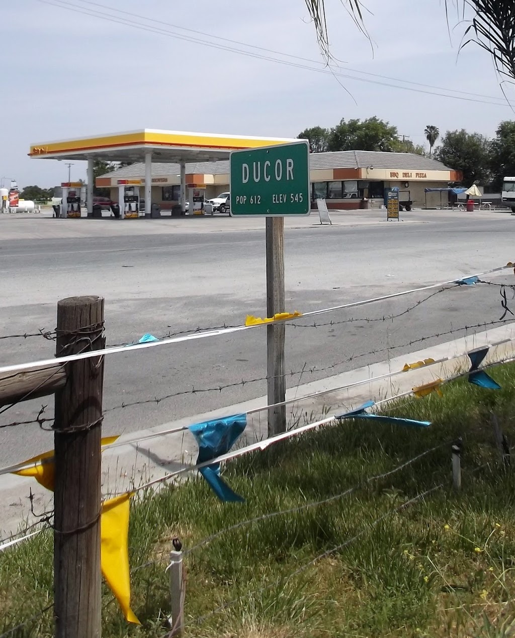 Shell | restaurant | 23314 Ave 56, Ducor, CA 93218, USA | 5595342500 OR +1 559-534-2500