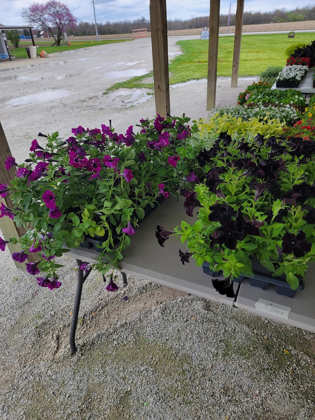 S S Bait and Tackle | restaurant | 8975 W 600 S, Andrews, IN 46702, USA | 2604682551 OR +1 260-468-2551