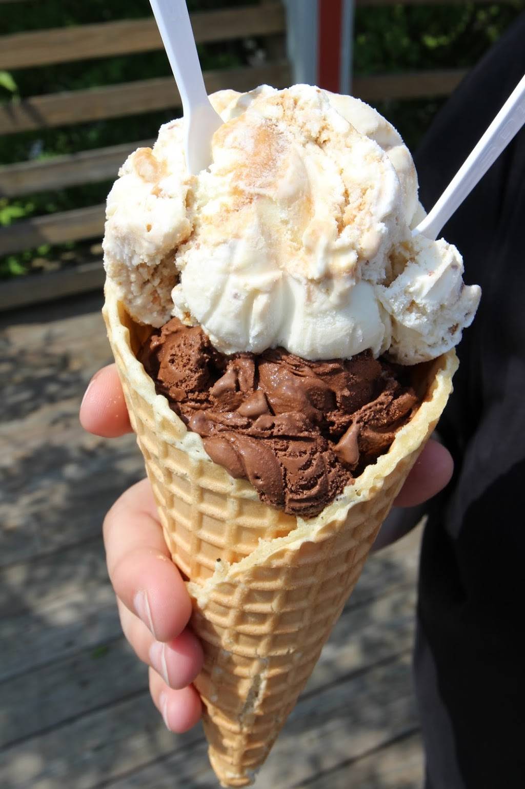 House of Flavors | restaurant | 284 River St, Manistee, MI 49660, USA | 2318874600 OR +1 231-887-4600