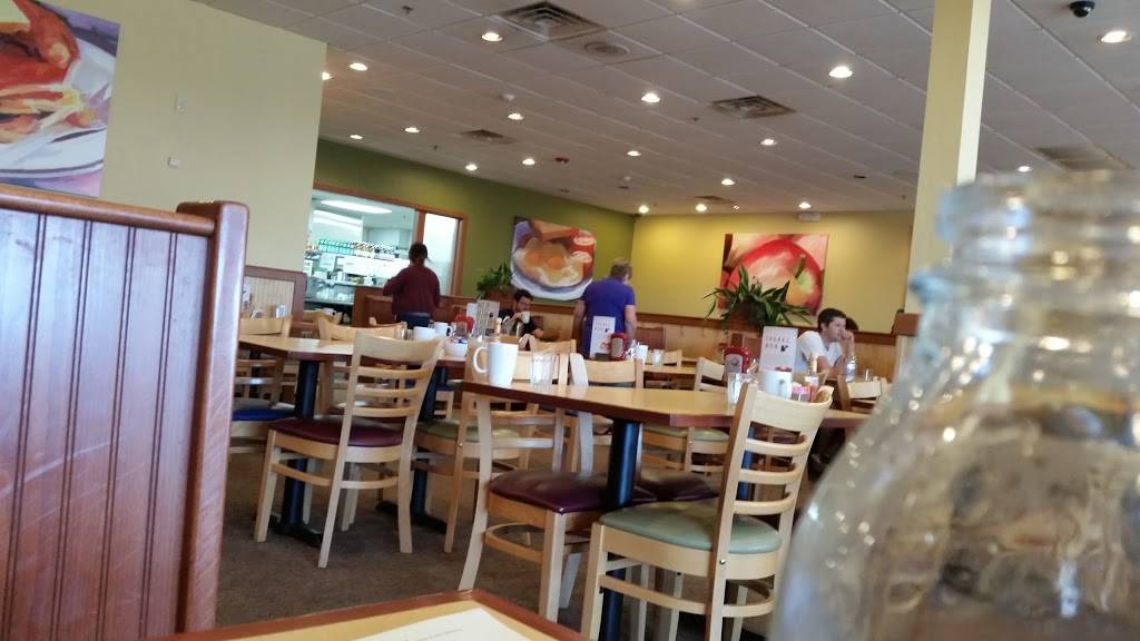 First Watch - Oklahoma City | restaurant | 2328 W Memorial Rd, Oklahoma City, OK 73134, USA | 4057483447 OR +1 405-748-3447