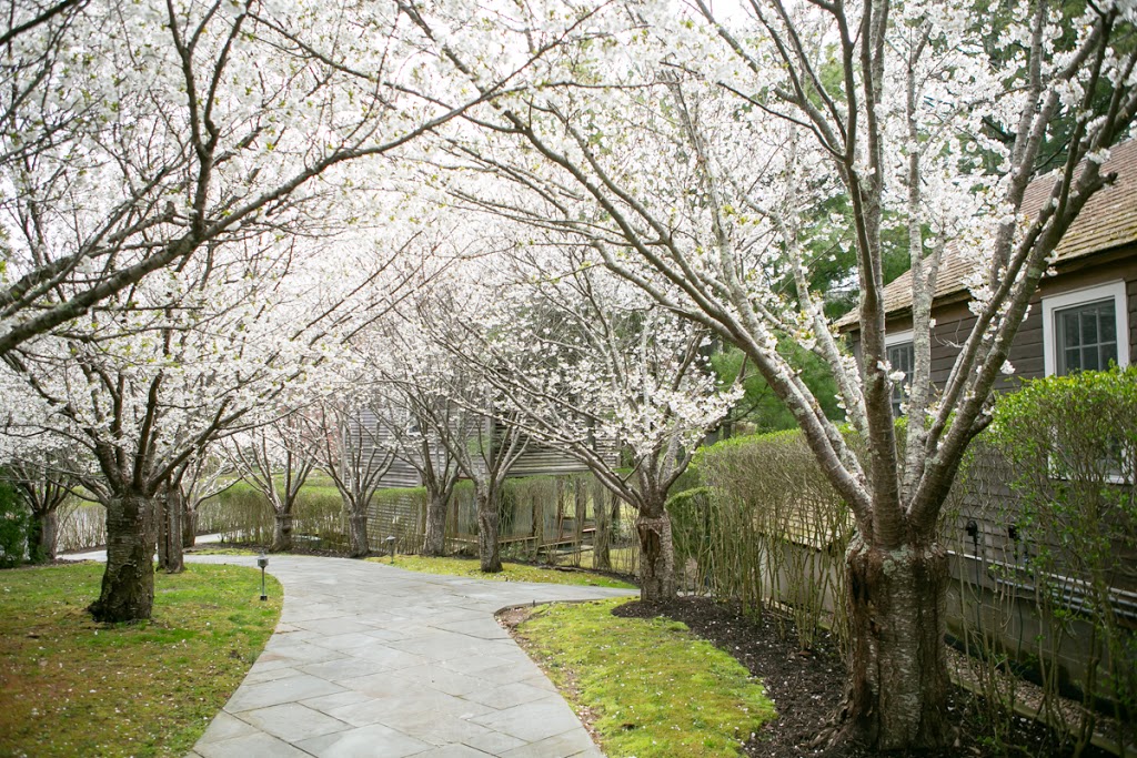 EHP Resort & Marina | restaurant | 295 Three Mile Harbor Hog Creek Rd, East Hampton, NY 11937, USA | 6313249191 OR +1 631-324-9191