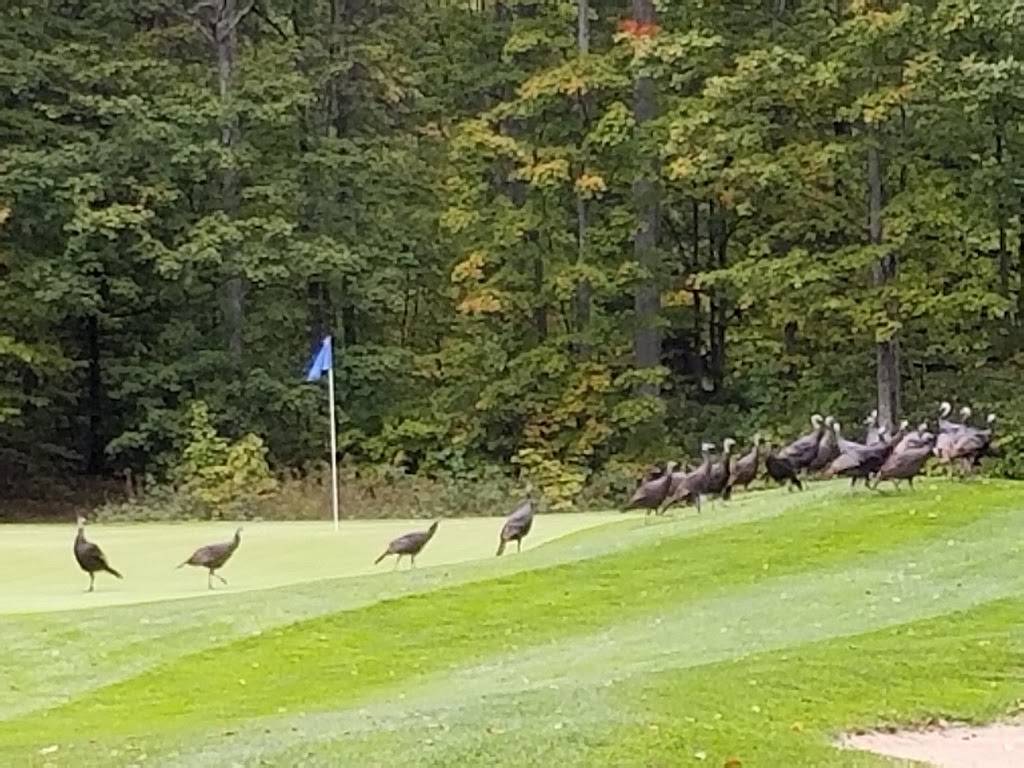 Grandview Golf Club | restaurant | 3003 Hagni Rd NE, Kalkaska, MI 49646, USA | 2312583244 OR +1 231-258-3244