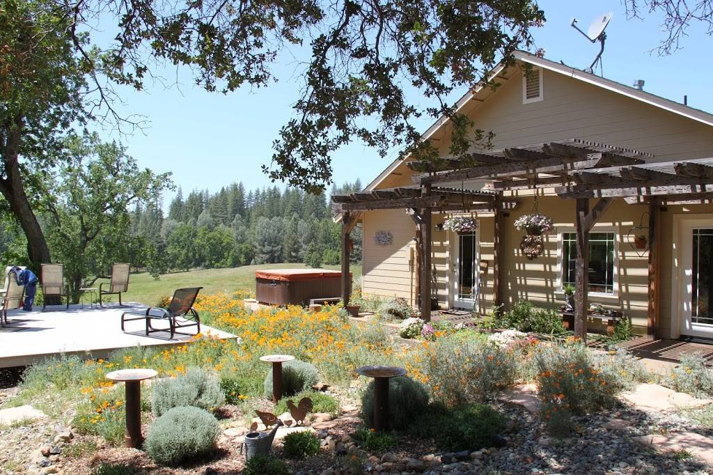 Red Tail Ranch Bed & Breakfast | restaurant | 22307 Ferretti Rd, Groveland, CA 95321, USA | 2099620863 OR +1 209-962-0863