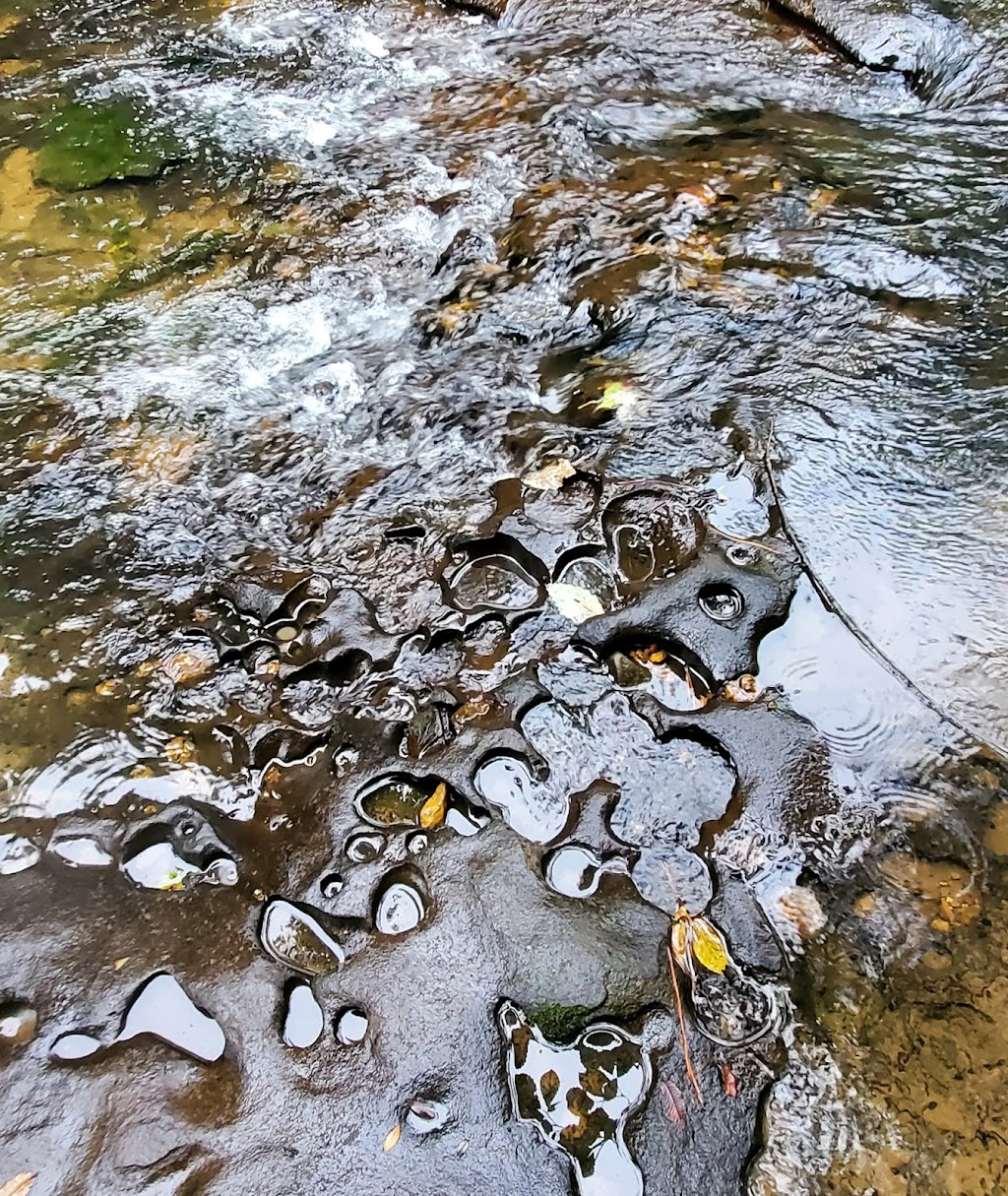 SPORTSMANS PARK | restaurant | 11155 Elk River Mills Rd #4601, Athens, AL 35614, USA | 2562321599 OR +1 256-232-1599