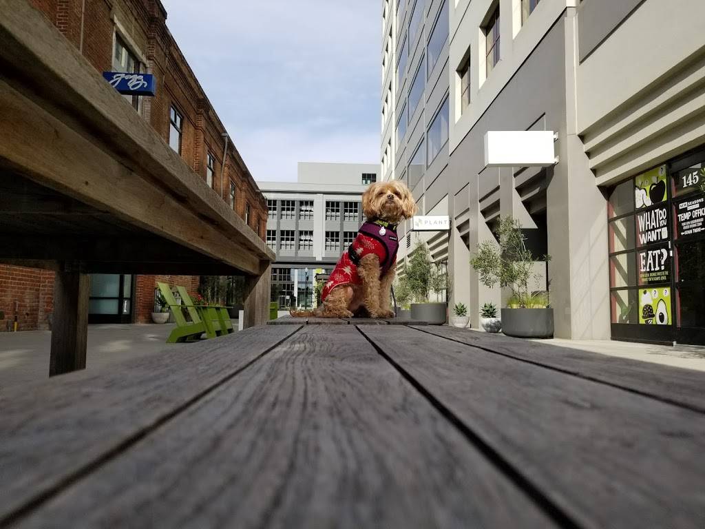 Public Market Emeryville | shopping mall | 5959 Shellmound St, Emeryville, CA 94608, USA | 5106525852 OR +1 510-652-5852