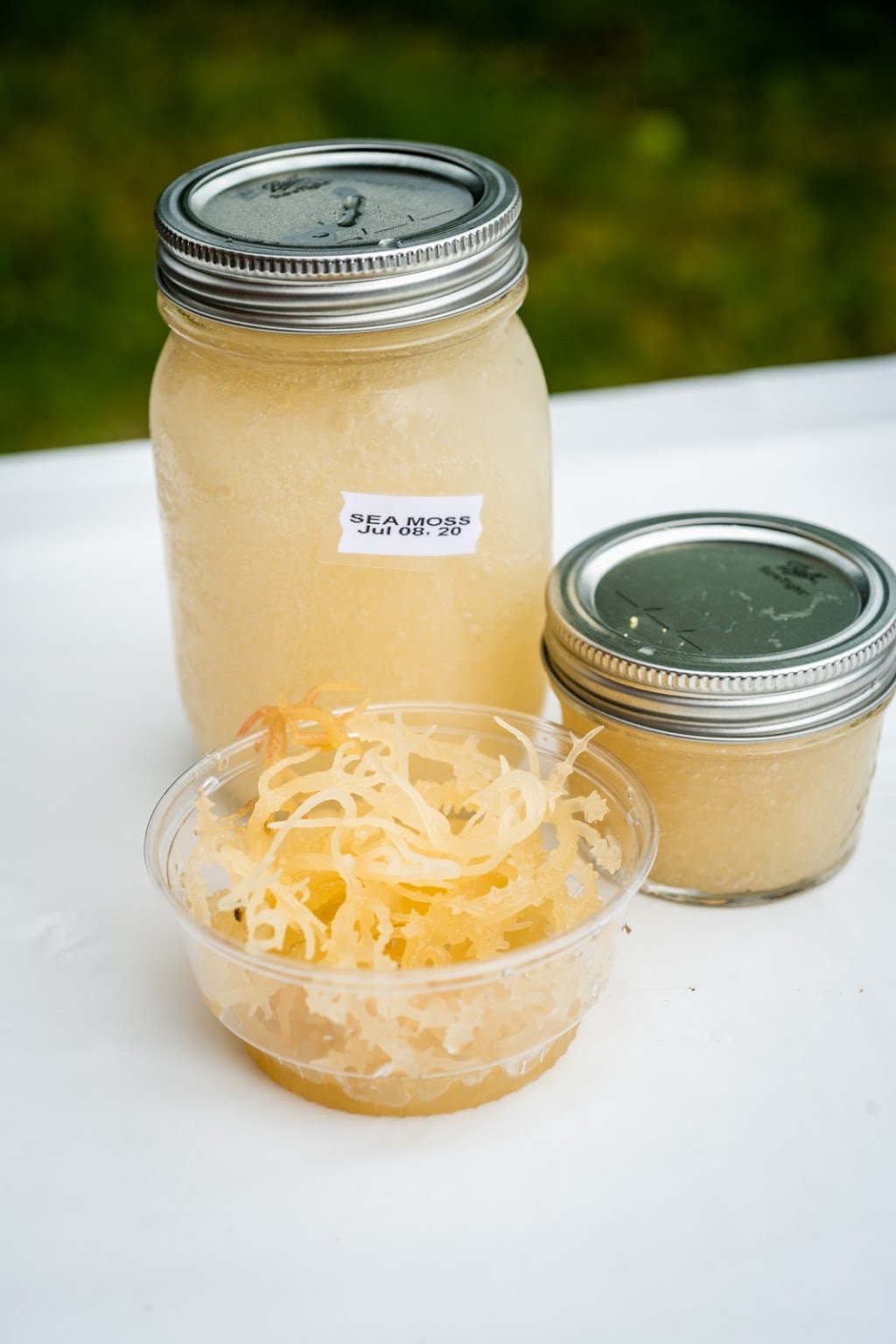 Smooth Ginger Smoothie N Ginger Juice Bar | restaurant | 1563 Sibley Blvd, Calumet City, IL 60409, USA | 7088720048 OR +1 708-872-0048