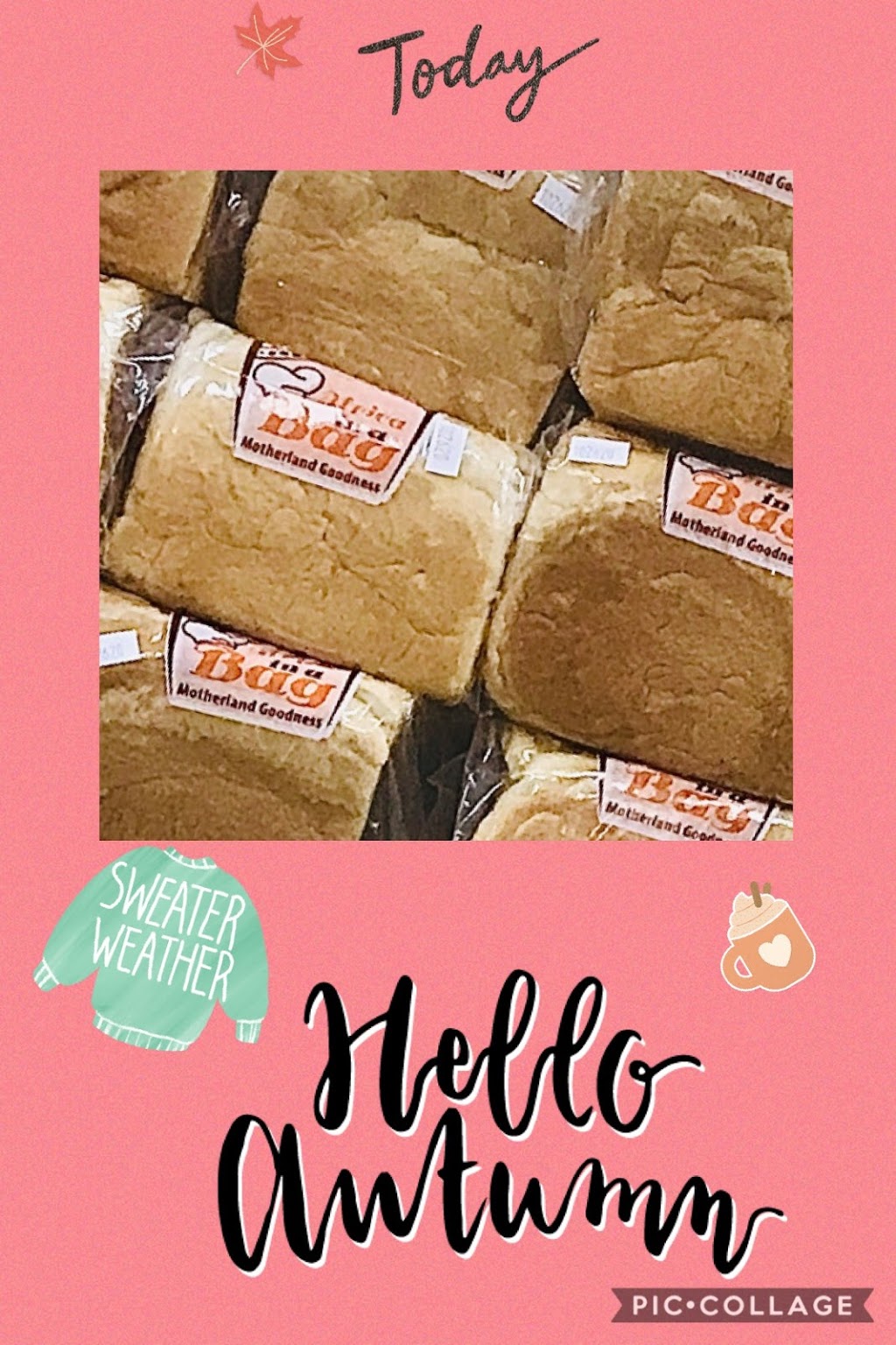 Motherland Goodness: Africa In A Bag Inc. | bakery | 5865 Robert Oliver Pl, Columbia, MD 21045, USA | 3018923241 OR +1 301-892-3241