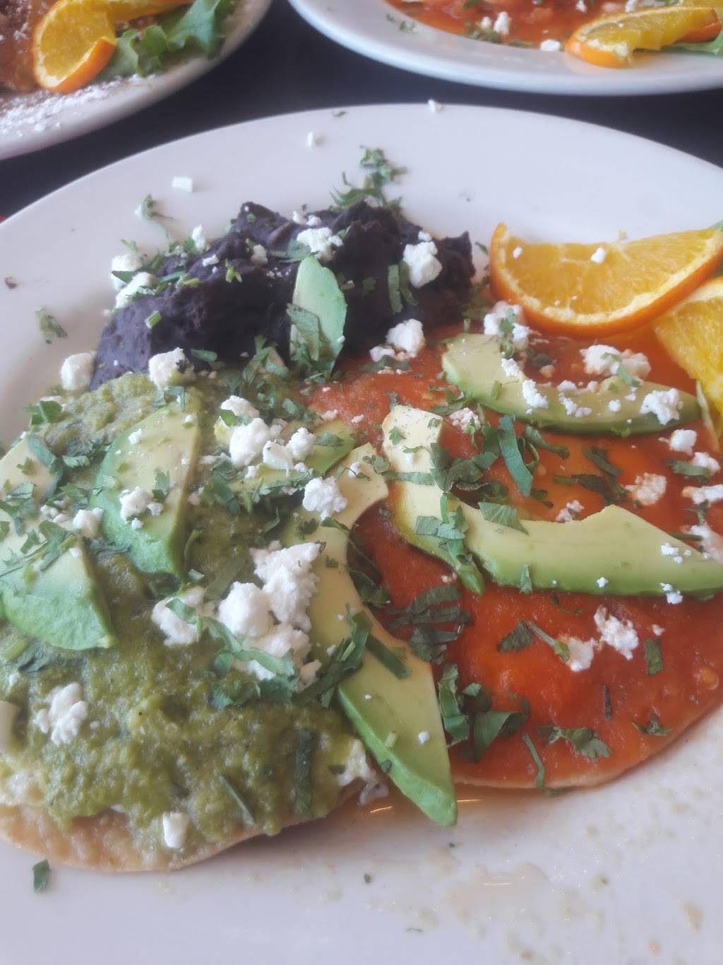 Ozzies Luncheonette | restaurant | 2401 Atlantic Ave, Longport, NJ 08403, USA | 6094870575 OR +1 609-487-0575