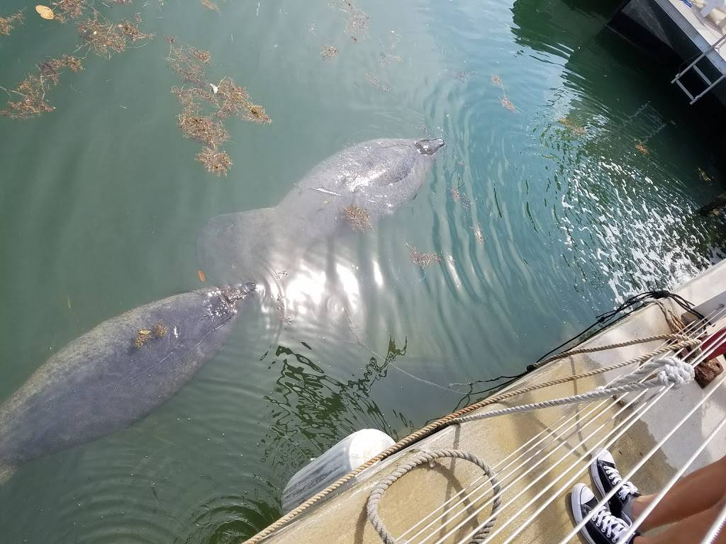 What The Fish? Rolls & More | restaurant | 90775 Old Hwy Unit #6, Tavernier, FL 33070, USA | 3054403650 OR +1 305-440-3650