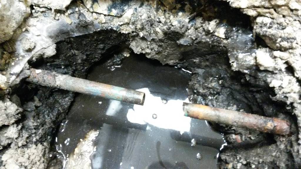 Wendys | restaurant | 2710 FL-16, St. Augustine, FL 32085, USA | 9048260836 OR +1 904-826-0836