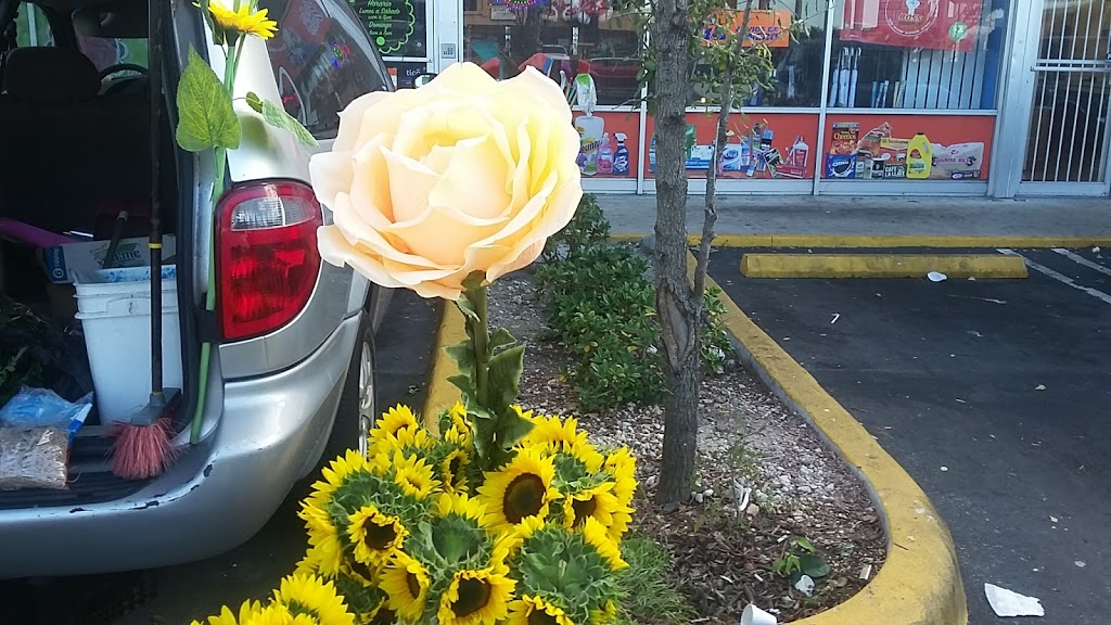 Tu Pan | restaurant | 2931 W 12th Ave, Hialeah, FL 33012, USA | 7862290138 OR +1 786-229-0138