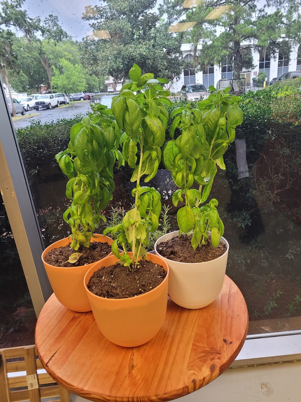 Knox Market | restaurant | 325 John Knox Rd building f ste 104, Tallahassee, FL 32303, USA | 8503296858 OR +1 850-329-6858