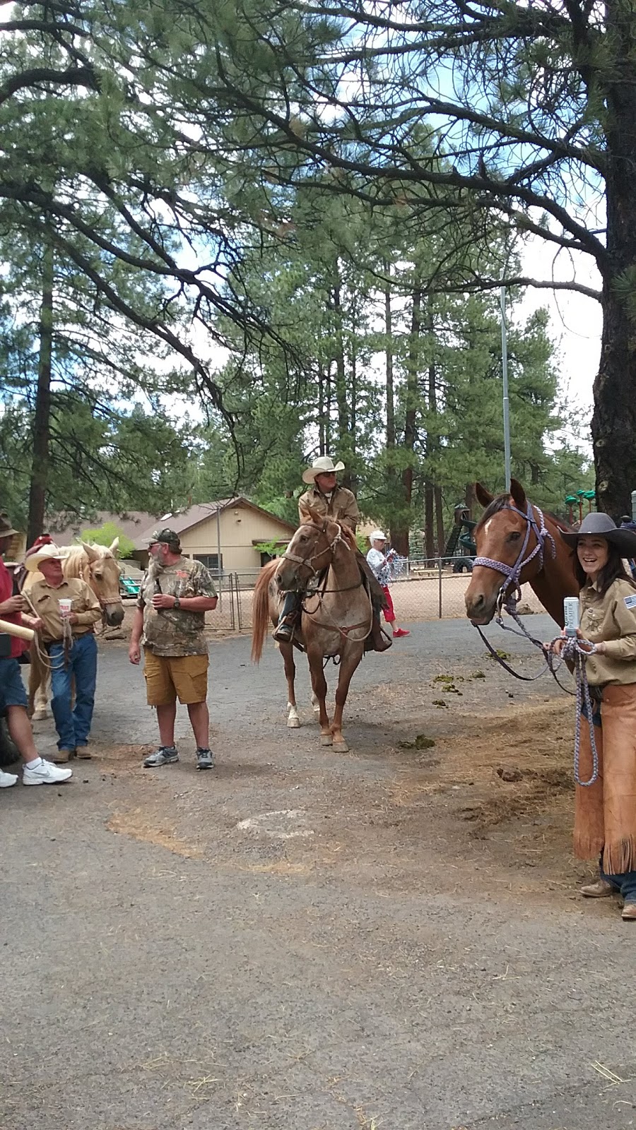 Parks In the Pines General Store Deli & Cafe & Postal Annex | restaurant | 12963 Old Rte 66, Parks, AZ 86018, USA | 9286354741 OR +1 928-635-4741