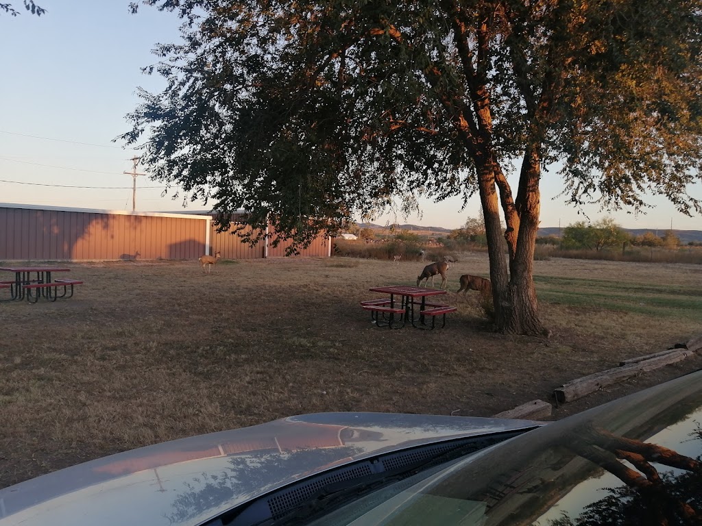 Dairy Queen | restaurant | 2800 US-90, Alpine, TX 79830, USA | 4328372420 OR +1 432-837-2420