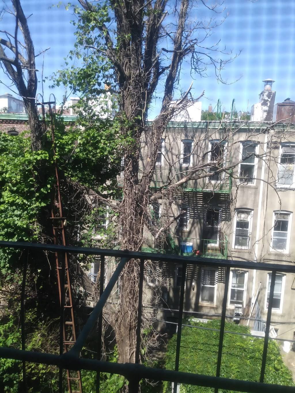 Woodside Pizza & Restaurant | restaurant | 4406 60th St, Woodside, NY 11377, USA | 7185338888 OR +1 718-533-8888