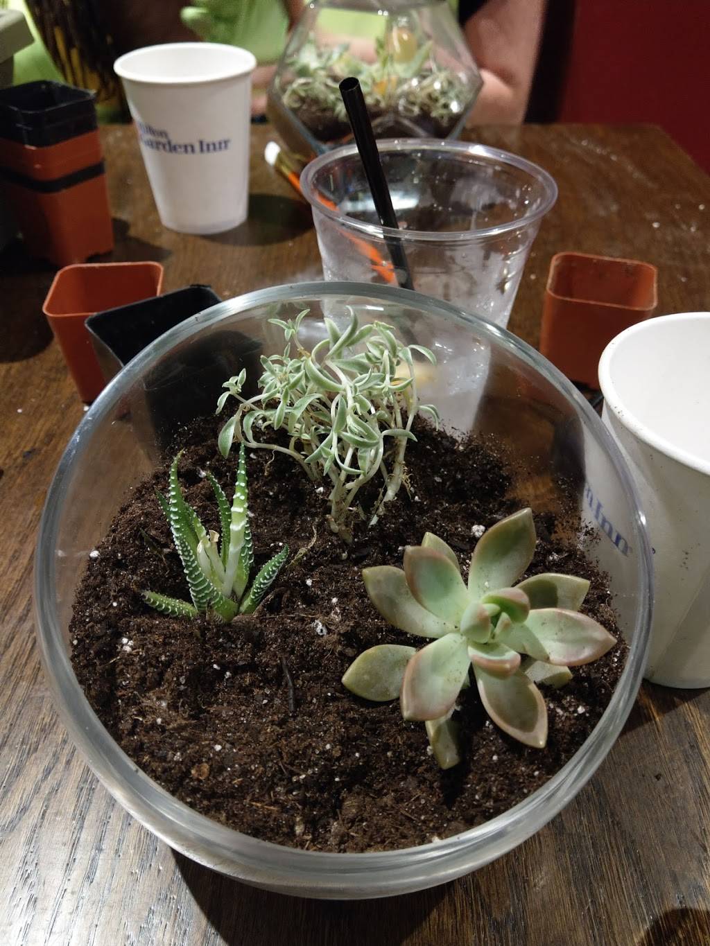 Colony 274 | restaurant | 274 4th Ave, Brooklyn, NY 11215, USA | 7187814862 OR +1 718-781-4862