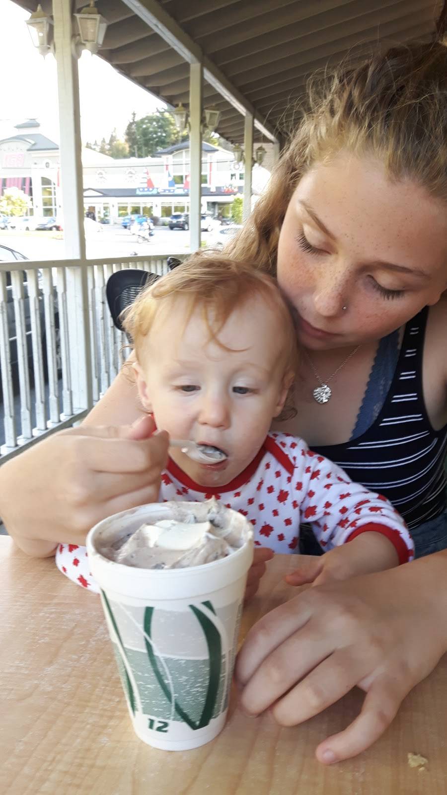 Friterie | restaurant | 1291 Boulevard de Sainte-Adèle, Sainte-Adèle, QC J8B 2N6, Canada | 4502299144 OR +1 450-229-9144