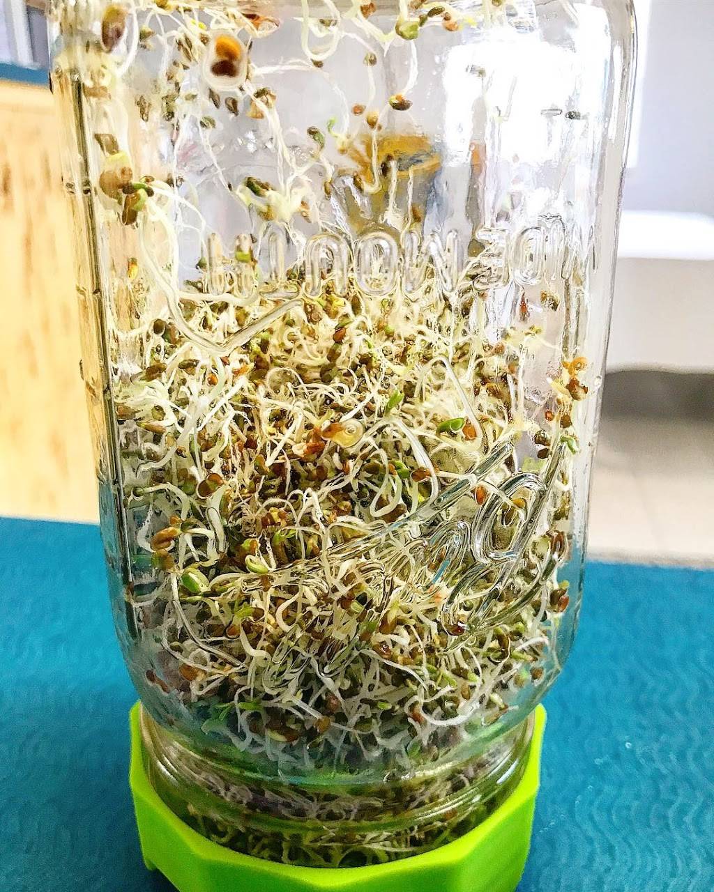 Island Market | restaurant | 614 S Gulf St, Port Aransas, TX 78373, USA | 3617492338 OR +1 361-749-2338