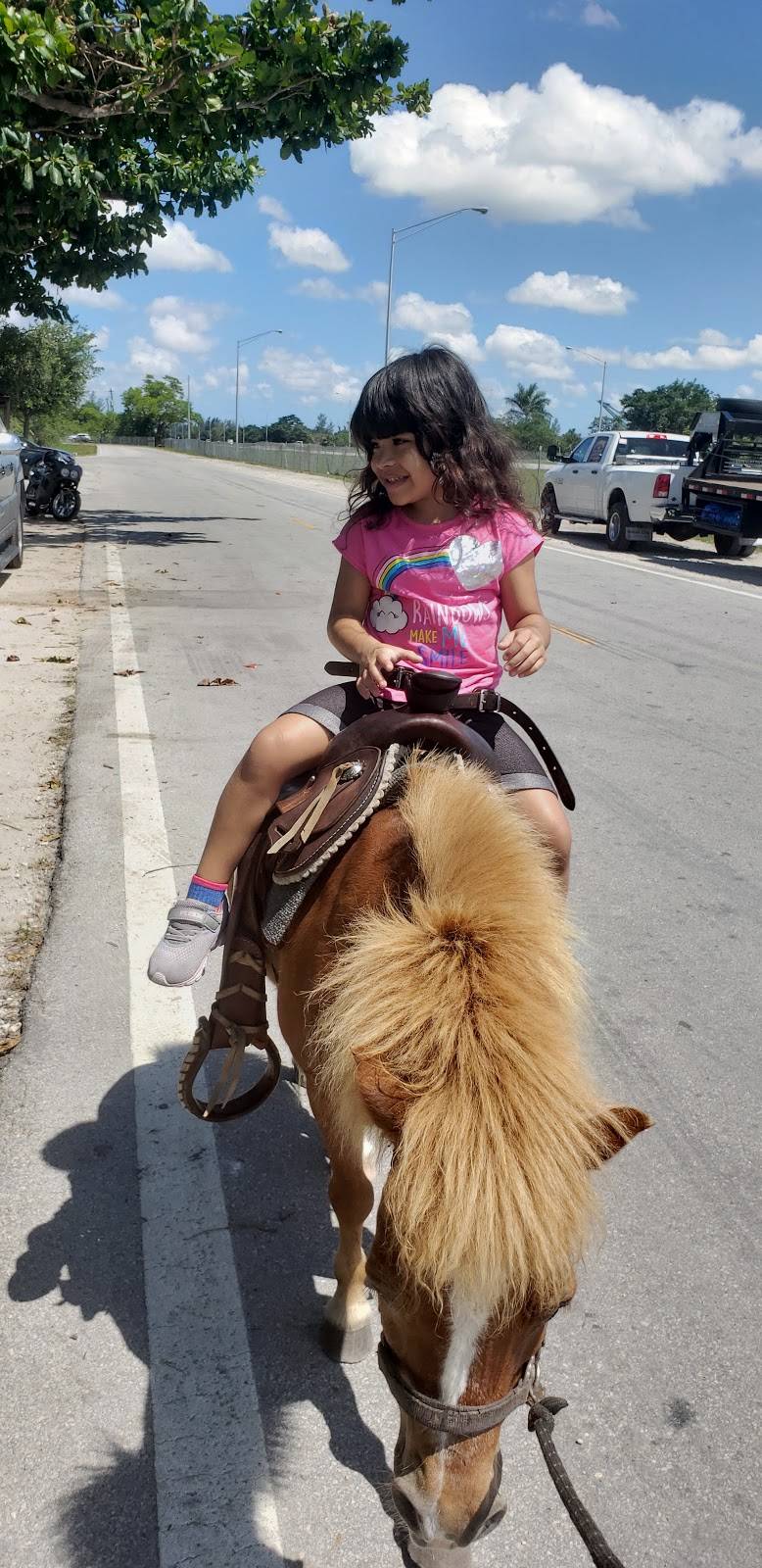 EL RANCHO OKEECHOBEE | restaurant | 17015 W Okeechobee Rd, Hialeah, FL 33018, USA | 3058273988 OR +1 305-827-3988