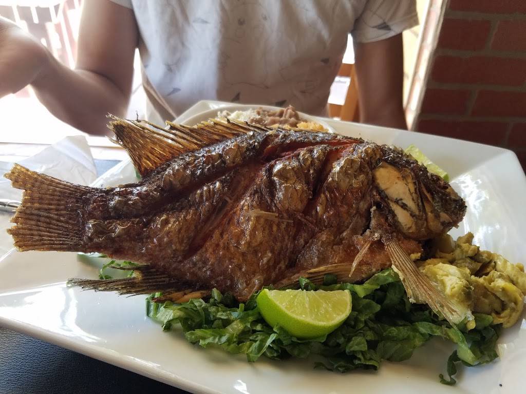 Plaza Garibaldi | night club | 1170 E Santa Clara St, San Jose, CA 95116, USA | 4082980121 OR +1 408-298-0121